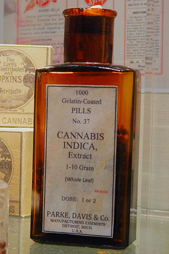 The oldest cannabis recipeo cannabis pill bottle